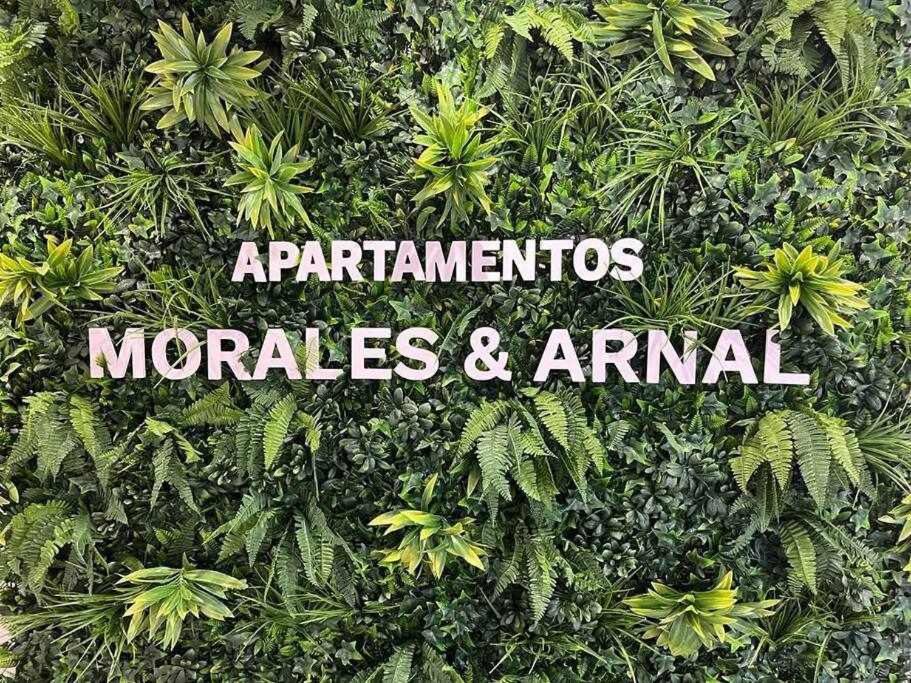 XVIII B Suite Apartamentos Morales & Arnal Ронда Екстериор снимка